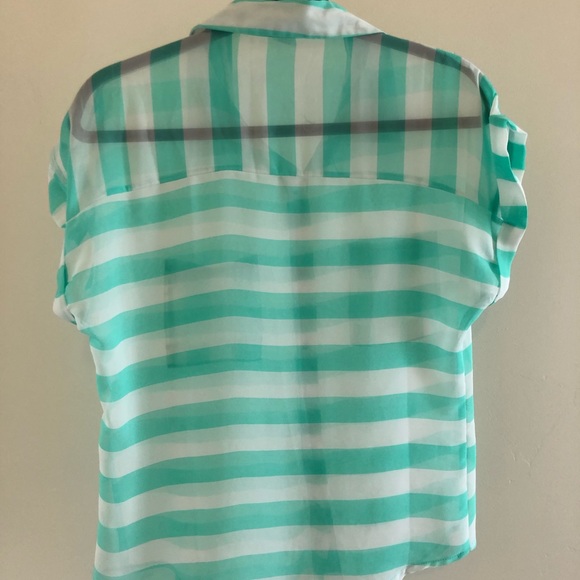 Aqua Sheer Striped Blouse - Picture 3 of 3